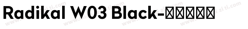 Radikal W03 Black字体转换